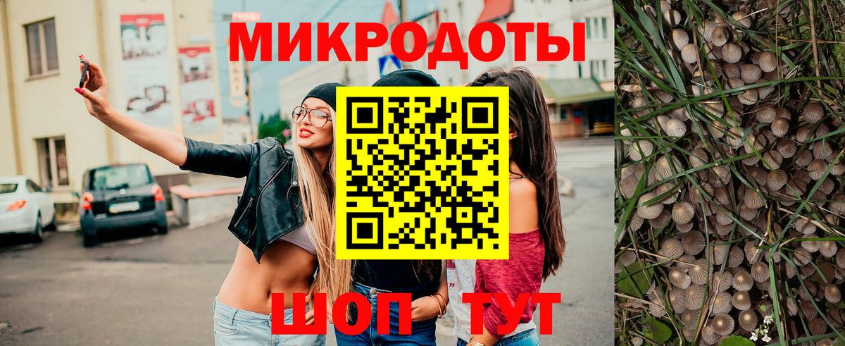 Псилоцибиновые грибы GOLDEN TEACHER Дедовск