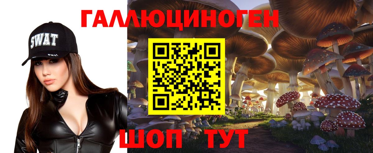 Галлюциногенные грибы Cubensis  Псилоцибиновые грибы мицелий  Дедовск  Вход с VPN 